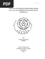 Download Pengujian mutu beras merah dalam beberapa kemasan  by Sumayyah Syahidah SN354829712 doc pdf