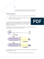 Comunicación Neuronal