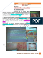Anatomia Patologica- 22-10-15 - Patologia Dermica