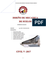 Informe de Calicata