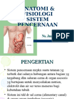 Anfis Sistem Pencernaan 1