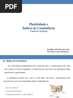 Plasticidade e indices de consistencia.pdf