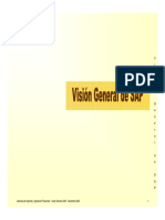 Vision_General_SAP.pdf