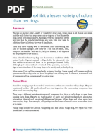 Download Stray Dogs Exhibit a Lesser Variety of Colors Than Pet Dogs by Elena Mathur SN354865279 doc pdf