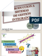Introducción A Los Sistemas de Gestión Agosto 2013 PDF