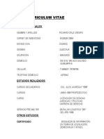 Curriculum Vitae Original 3 de Febrero de 2017