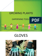 Growing Plants