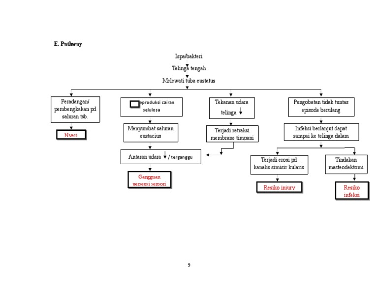 Pathway otitis media pdf