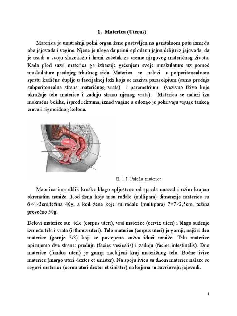 Karcinom Grlica Materice Pdf