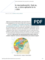 Todo Sobre La Neuroeducación - Qué Es, para Qué Sirve, y Cómo Aplicarla