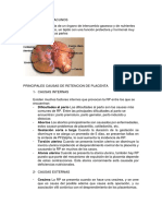 La Placenta en Vacunos (1)