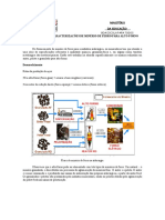 EnsaiosMinFe-AltoForno.pdf