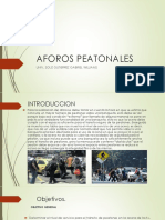 Aforos Peatonales 2017