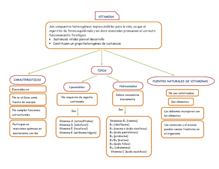 Vitaminas mapa conceptual Vitamina Biomoléculas