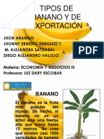 Banano (3) Exposicion