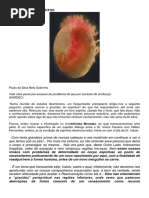 A Gravidez de Espíritos