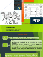 Erp Logistica.pdf