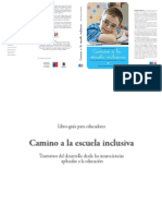 269072171-Camino-a-La-Inclusion-Amanda-Cespedes.pdf