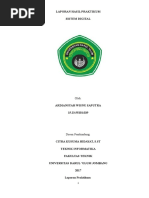 Download Praktikum Sistem Digital  by Rio Pratama SN354951376 doc pdf