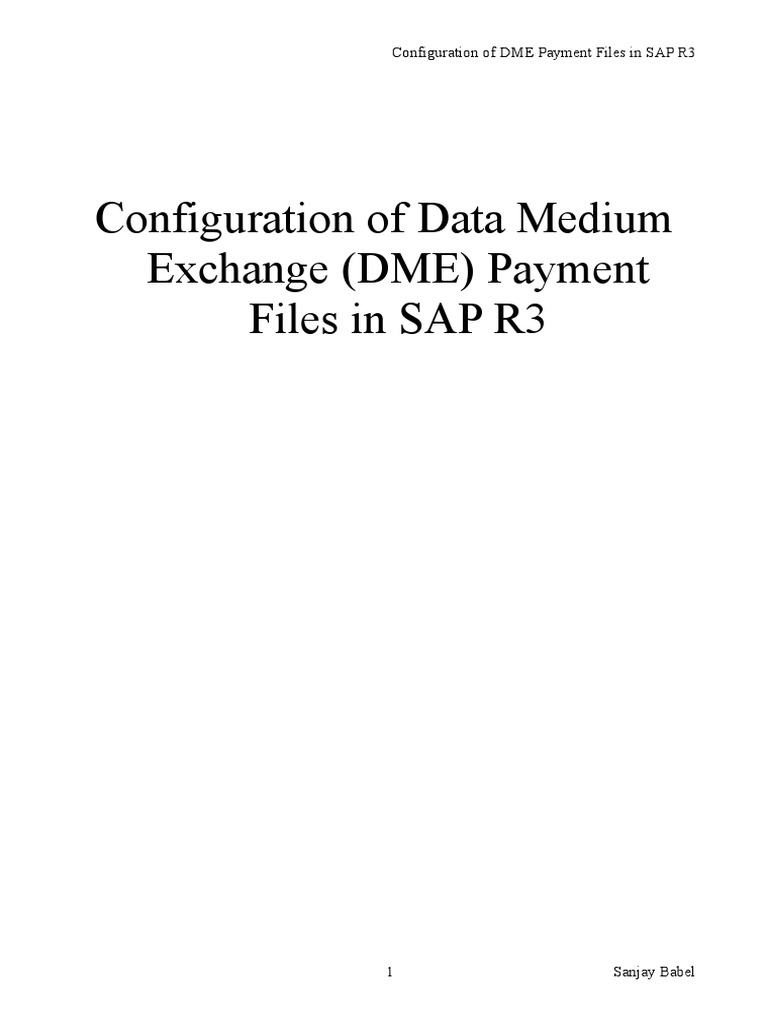 DME Payment File Configuration in SAP | PDF | Payments | Euro