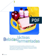 bebi_lacteas_jul04.pdf