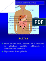 Fisiología Sistema Digestivo PDF