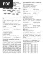 Prueba Saber 2do C.N. P Noveno 2017