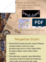 Peran Enzim Dan Koenzim