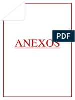 ANEXOS