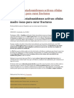 Científicos Estadounidenses Activan Células Madre Óseas para Curar Fracturas