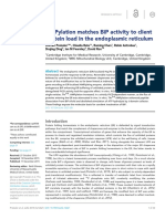 AMPylation Matches BiP Activity to Client Protein Load in the Endoplasmic Reticulum