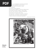 A Saturação Do Olhar e a Vertigem Dos Sentidos