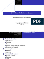 css_transparencias.pdf