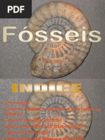 fosseis