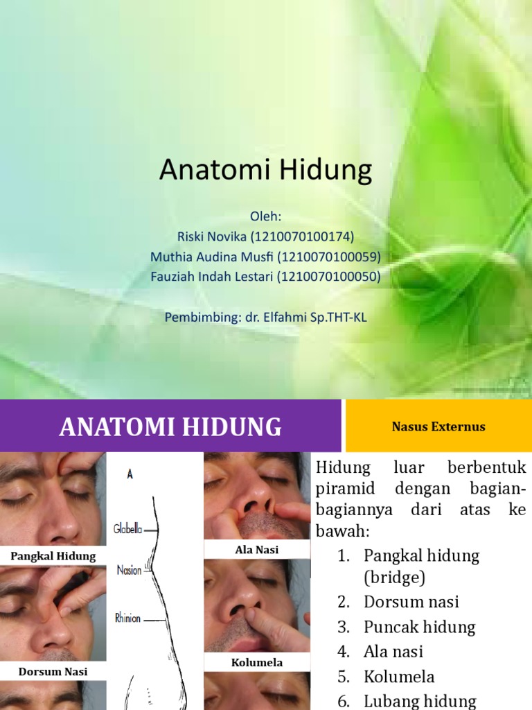 Anatomi dan Struktur Hidung Manusia | PDF | Kajian Bahasa Asing | Sains ...