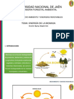 9.0-ENERGÍA-DE-LA-BIOMASA.pptx