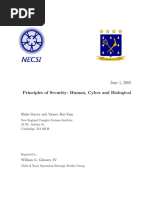 yaneer bar-yam - netsecurity.pdf