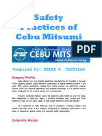 CASTILLA - Safety Practices of Cebu Mitsumi