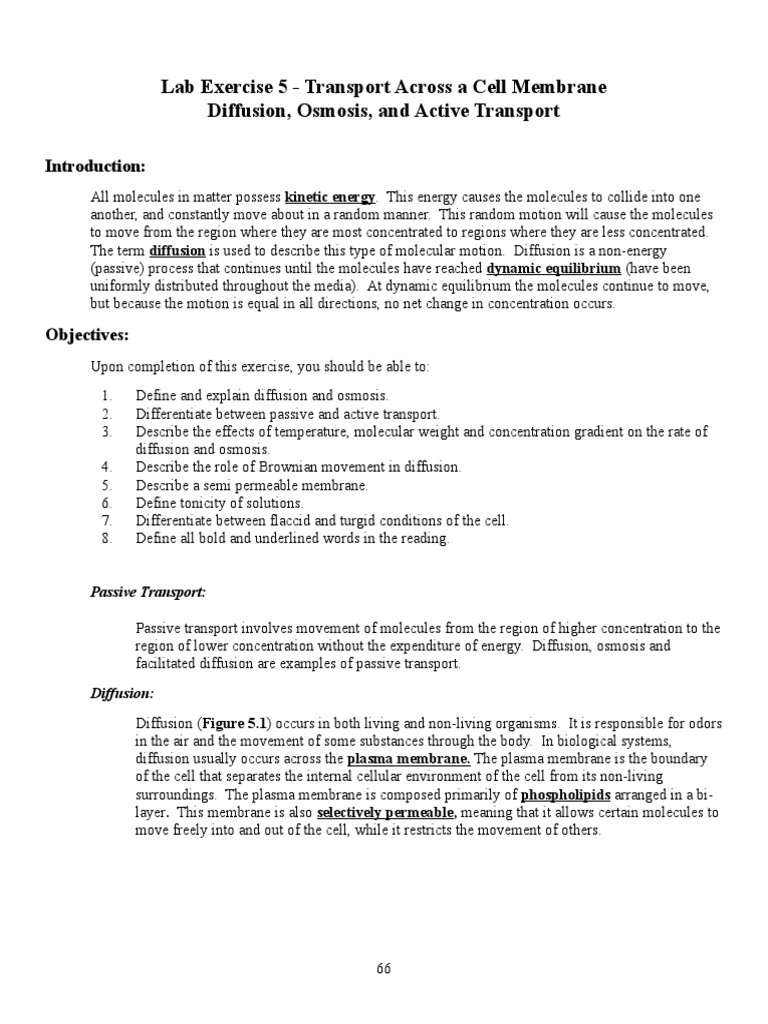 Dr Mala Lab Exercise 5 Final Osmosis Cell Membrane