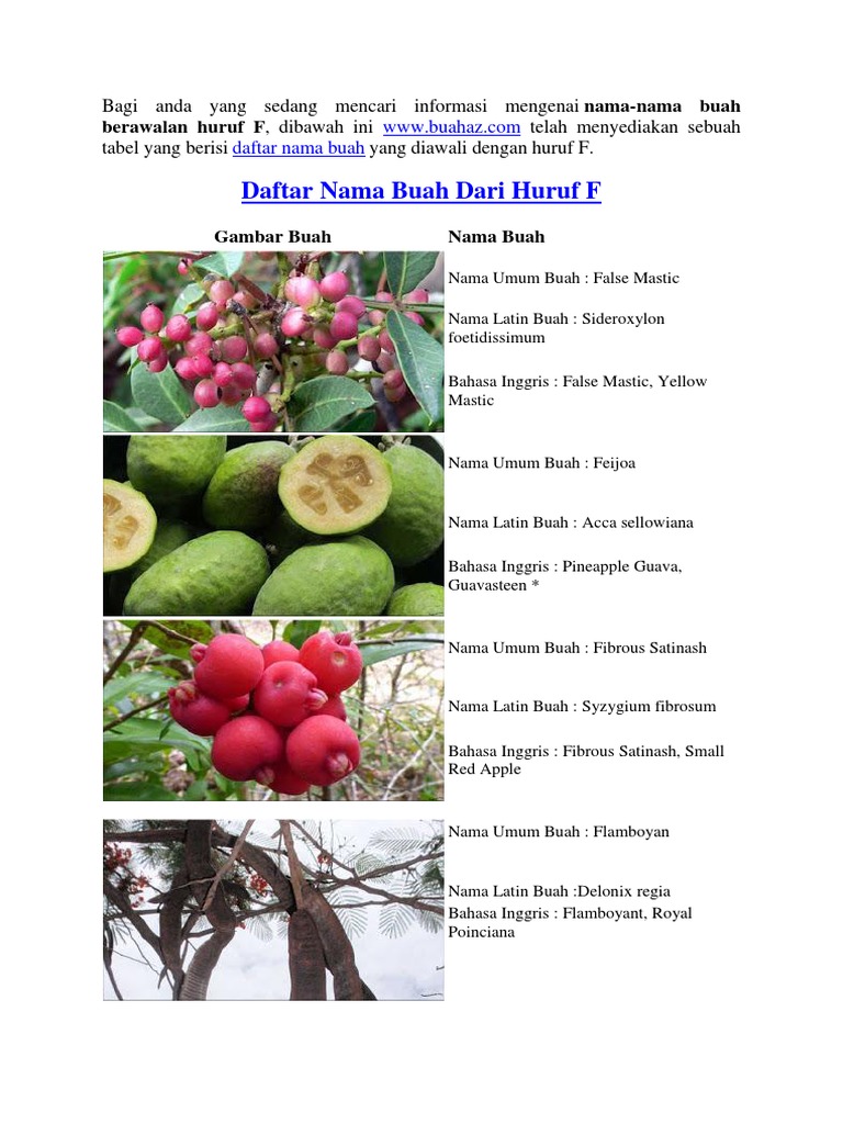 Daftar Nama Buah Dari Huruf F Pdf