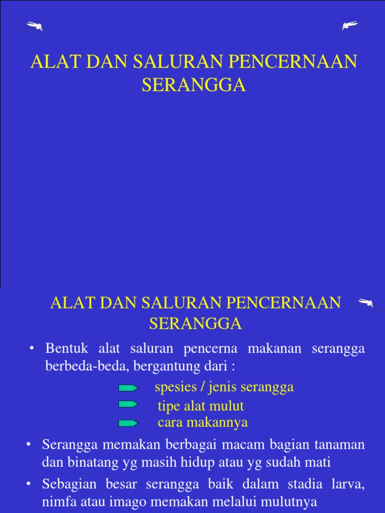 Alat Pencernaan Serangga | PDF