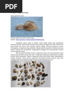 Download Cangkang kerang by Rido SN354995018 doc pdf