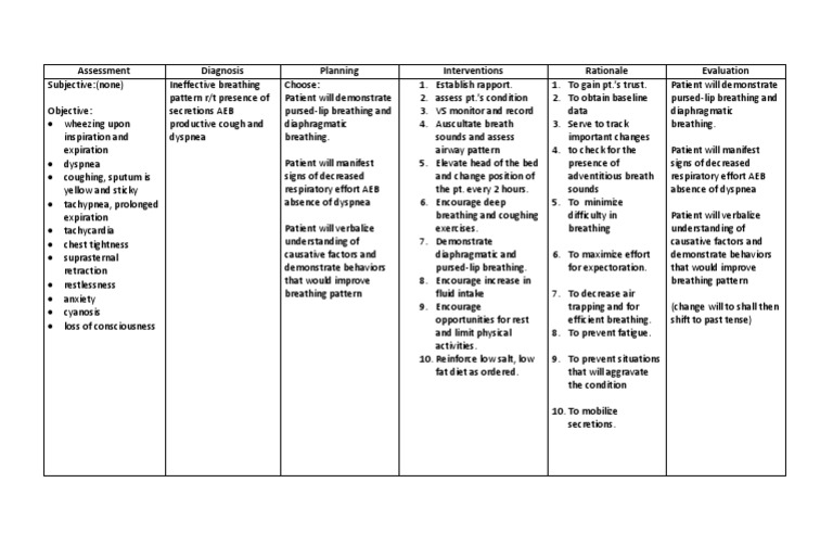 nursing care plan for asthma patients essay