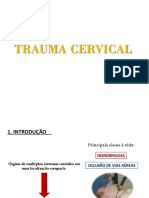 Trauma Cervical Pronto