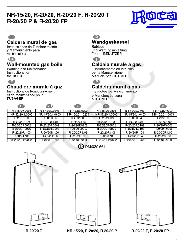Manual Caldera Rs 20/20f blitzlasopa