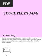 Download 6 Tissue Sectioning amp Cutting by chocoholic potchi SN35501719 doc pdf