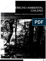 Dereco Ambiental Chileno - Rodrigo Guzman