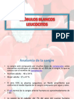 1-presentacinglbulosblancos-091104144550-phpapp01.pptx
