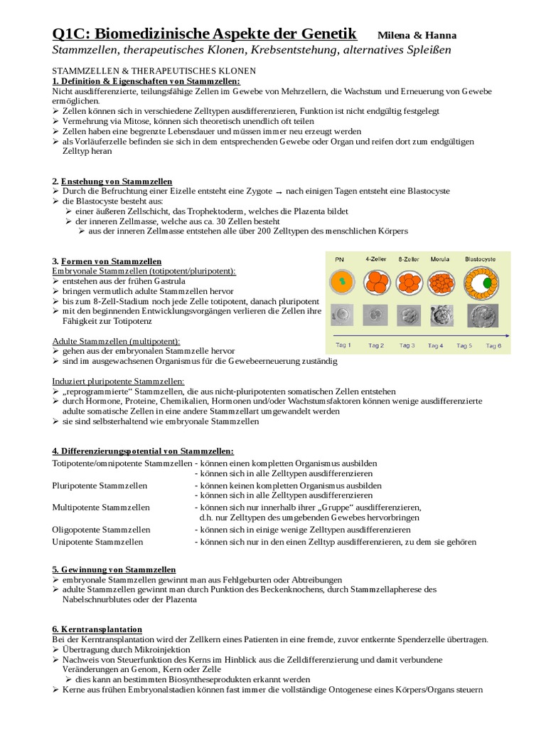 Handout Abitur : Biomedizinische Aspekte der Genetik - 1567110036?v=1