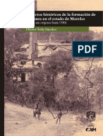 Historia de la formación regional en Morelos desde la época prehispánica hasta 1930